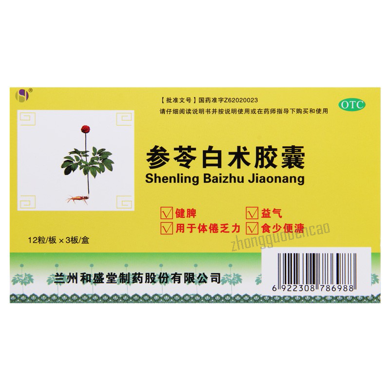 和盛堂参苓白术胶囊 Heshengtang Shenling Baizhu Jiaonang