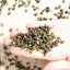 HelloYoung Organic Sichuan Green Pepper Health Herbs for Cooking Dried Pepper Huajiao 250g