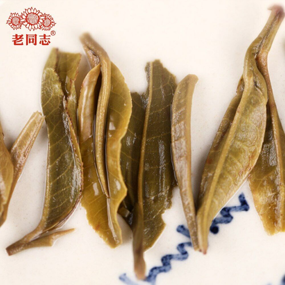 HelloYoung Haiwan The Gathering of Plant Spirit Raw Puer Excellent Shen Puerh Tea 400g