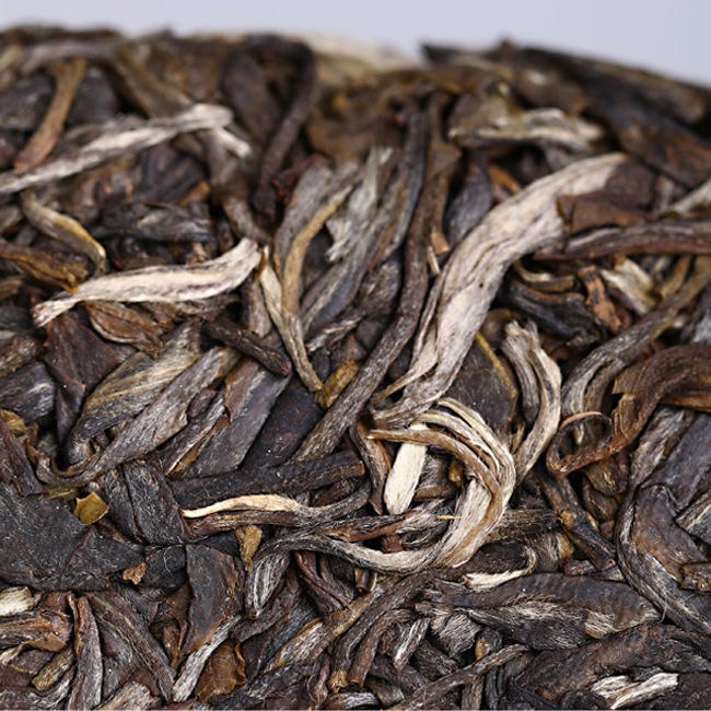 Remote Mountain Ancient Tree Haiwan Old Comrade Batch 191 Raw Puer Tea 500g