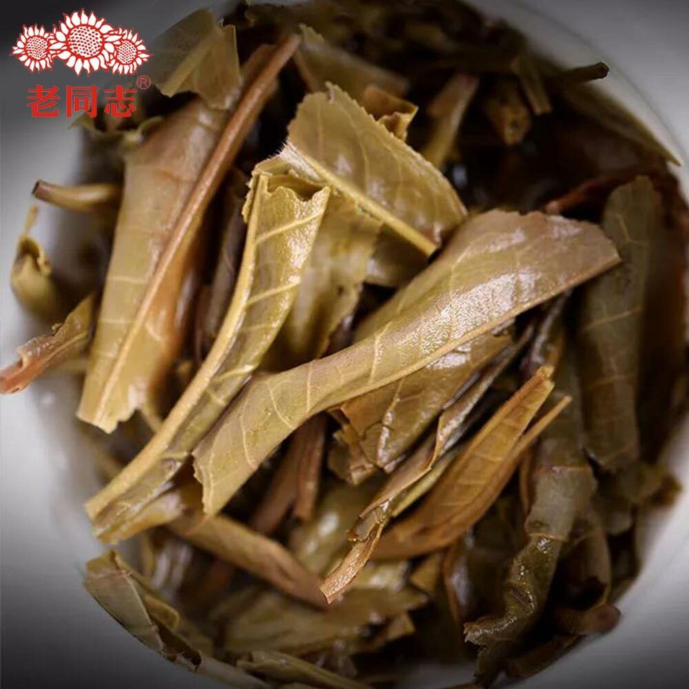HelloYoung Haiwan Chinese Puer Tea Liang Yuan "Deng Yun" Raw Puerh 400g