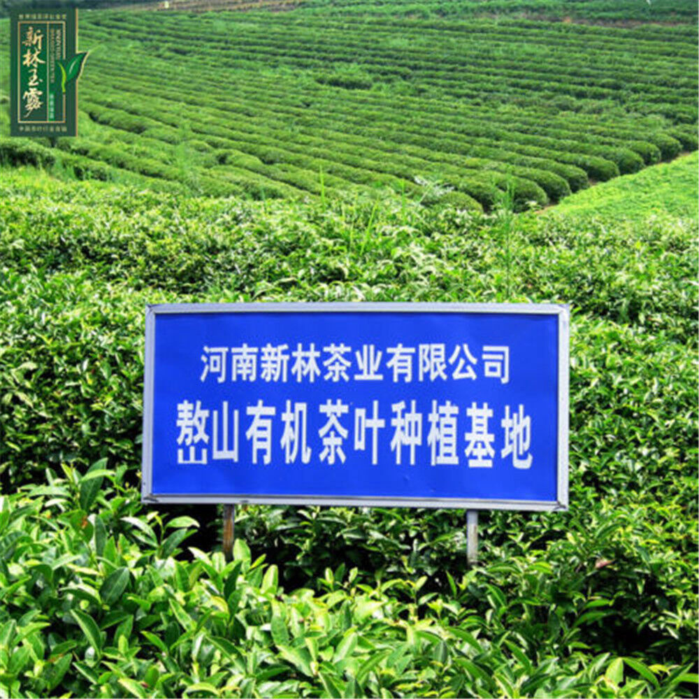 HelloYoung Slimming Herb Tea Gyokuro Organic Jade Dew Top-Grade Loose Leaf Green Tea 250g