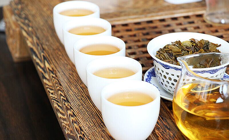 HelloYoung JIA JI TUO CHA * PURSUE Menghai Tuo Cha Puer Tea Green Raw Pu-erh Tea 500g