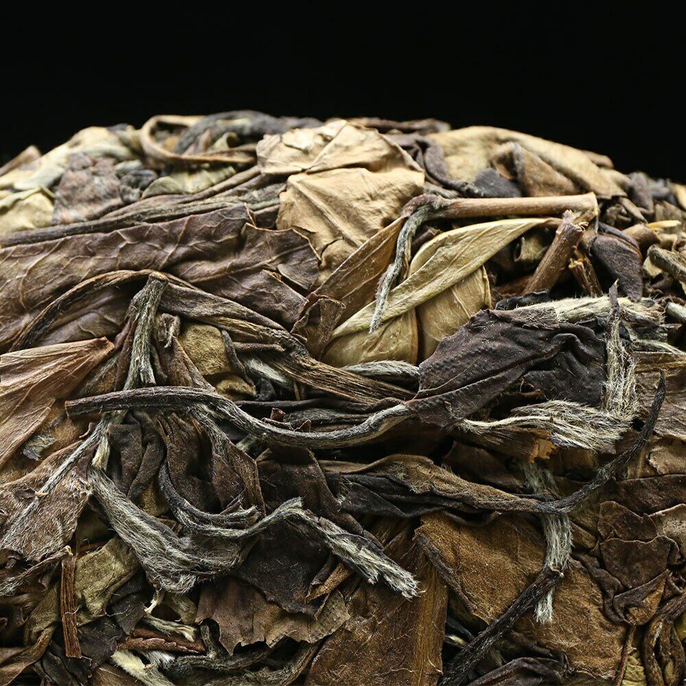 HelloYoung Fuding High Mountain White Tea Gong Mei Tribute Eyebrow 350g