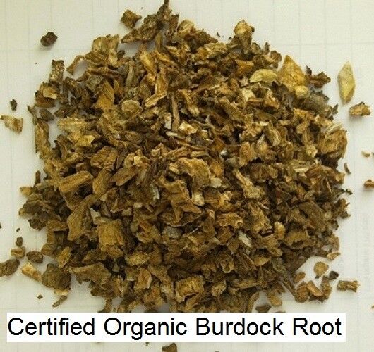 BURDOCK ROOT PREMIUM HARVEST HERBAL TEA 250g Arctium lappa Dried herb Secondary image