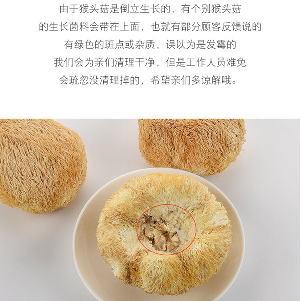 HelloYoung Original Houtougu China Herbal Health Care250g Organic Dried Hericium Erinaceus