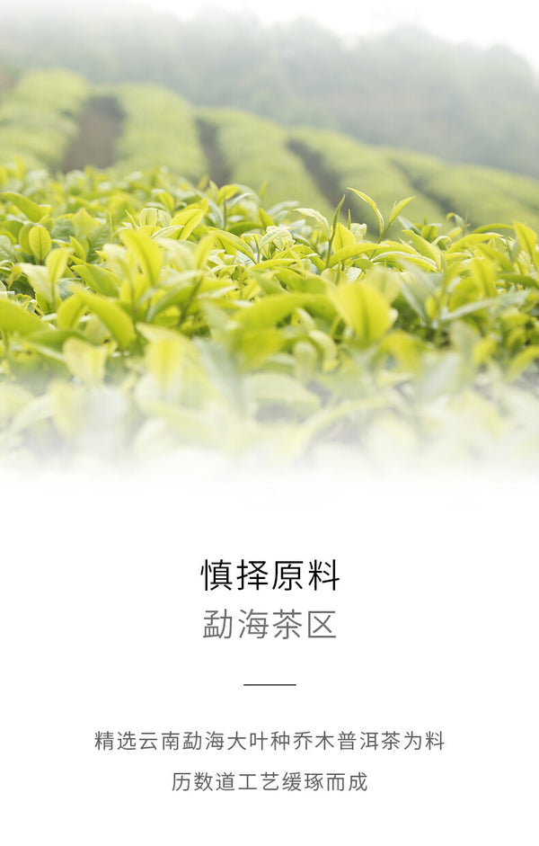 357g "Jiao Yang"  Haiwan Old Comrade Blazing Sun Ripe Puerh Shu Puer Tea