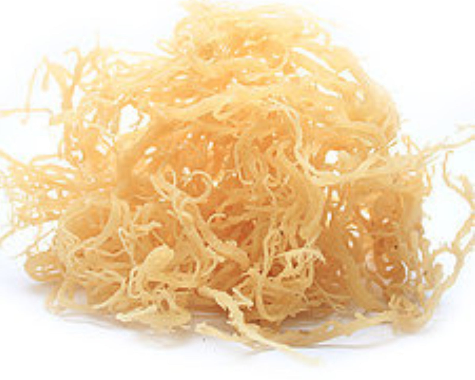 Organic Whole Leaf Irish Moss Sea Moss 8 Oz | Raw WildCrafted Superfood