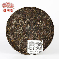 HelloYoung Haiwan Brown Cha Puer Tea Batch 211 Yunnan Qi Zi Bing Sheng Puerh 357g