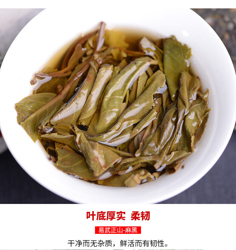 HelloYoung 2021 Haiwan Yi Wu Zheng Shan Shen Puer Tea Ma Hei Famous Old Tree Raw Pu'er 500g