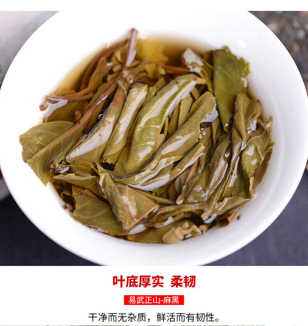 HelloYoung Haiwan Yi Wu Zheng Shan Shen Puer Tea Ma Hei Famous Old Tree Raw Pu'er 500g