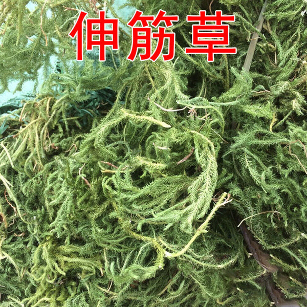 HelloYoung New Organic Shenjincao Organic Herbal Drink Tendongrass Natural Herbal Tea 500g