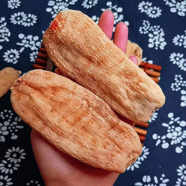 云南邵通天麻 三年一采 Tian Ma / 500g Pure Herbal Gastrodia Elata Root / Rhizoma gastrodia