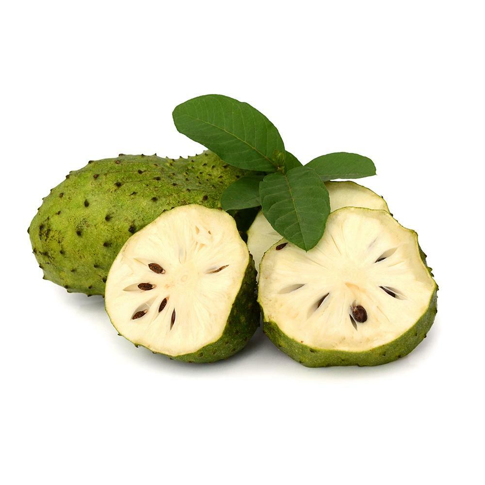 Organic pure natura Graviola Annona Muricat Tropical Dried Soursop Fruit powder