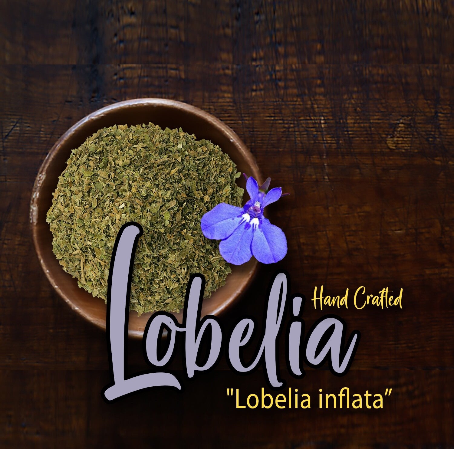 Lobelia Herb Dried Lobelia inflata 500g Apothecary Herbal