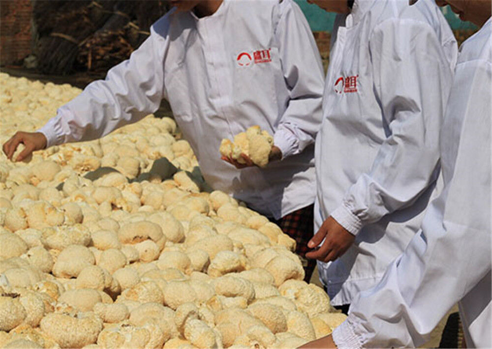 100% Organic Natural Dried Lion's Mane Mushroom Chinese Herbs Healthy Care 500g