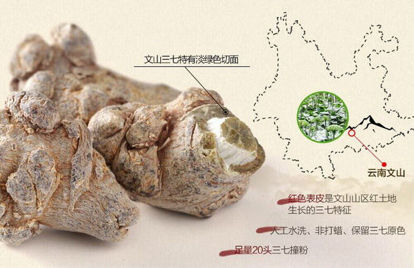 Healthy Drink Sanqi Tea Premium Sanchi Ginseng Soup Reduce Inflammation Pain