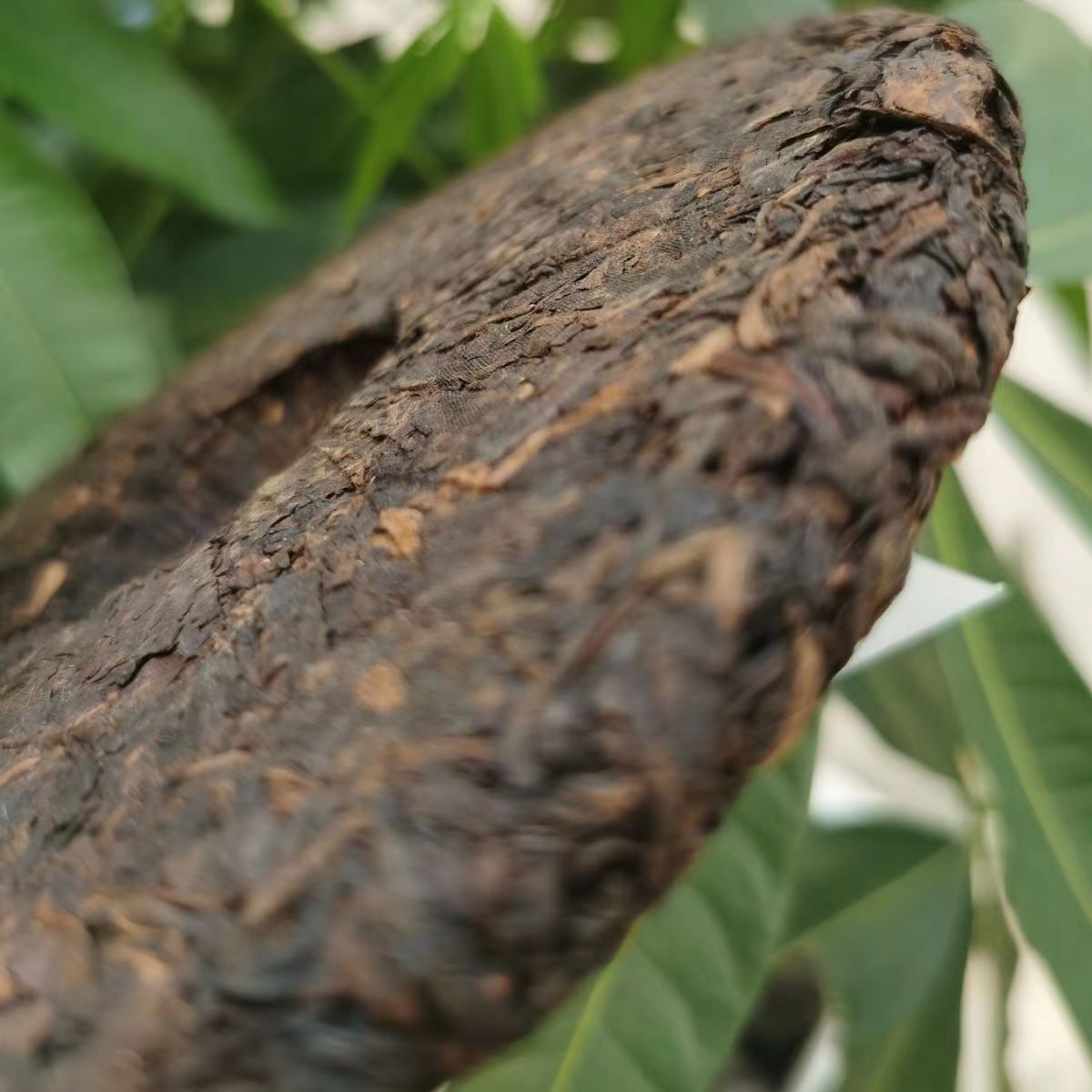 357g Yunnan Old Puerh Ripe Tea Tongqinghao Palace Aged Puer Cooked Tea Cake