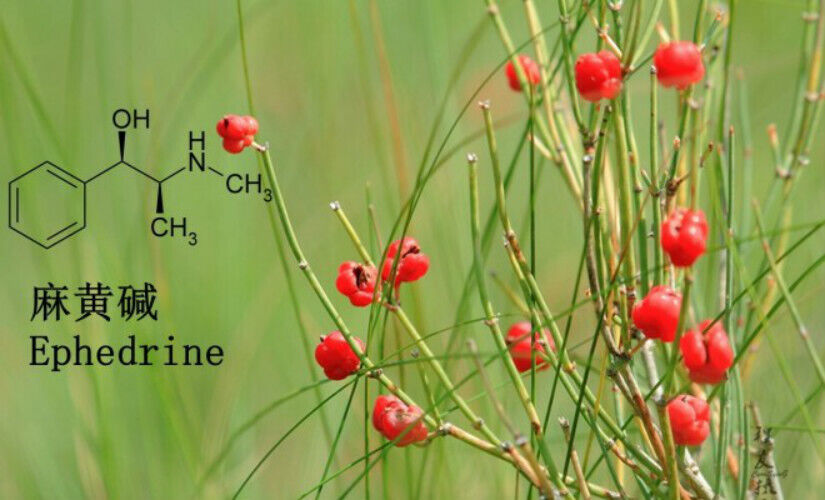 HelloYoung Raw Mo & Huang Herb Tea Herbal Green Tea Natural Mu & huang Tea