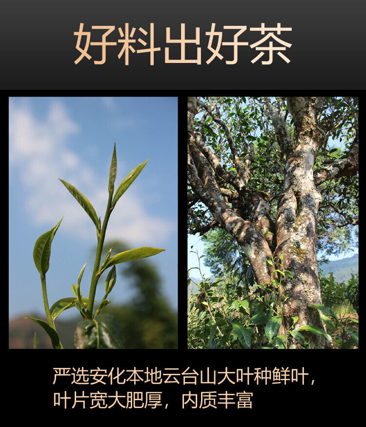 240g Hu Nan Baishaxi Instant Assorted Black Tea Brick  Anhua Dark Tea