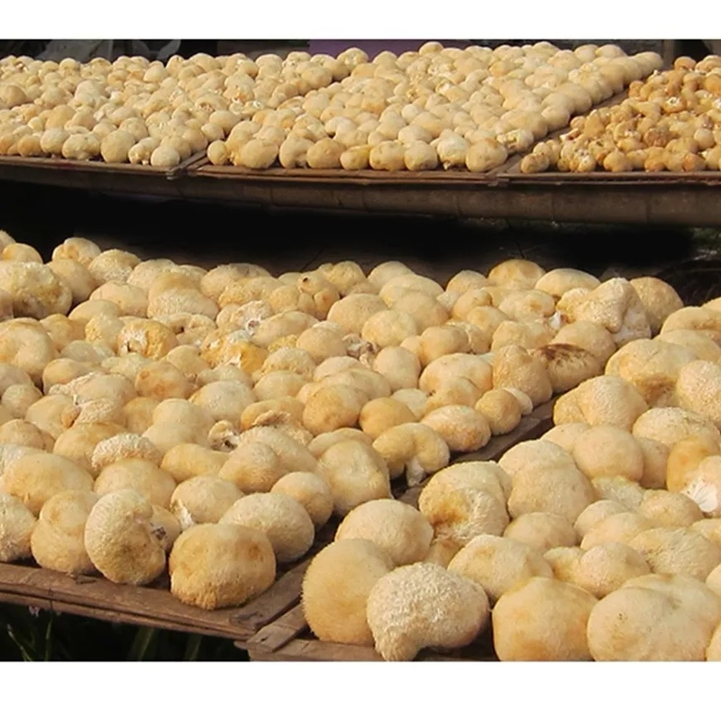 HelloYoung 100% Organic 500g Dried Lion's Mane Mushroom Chinese Herbs Tea