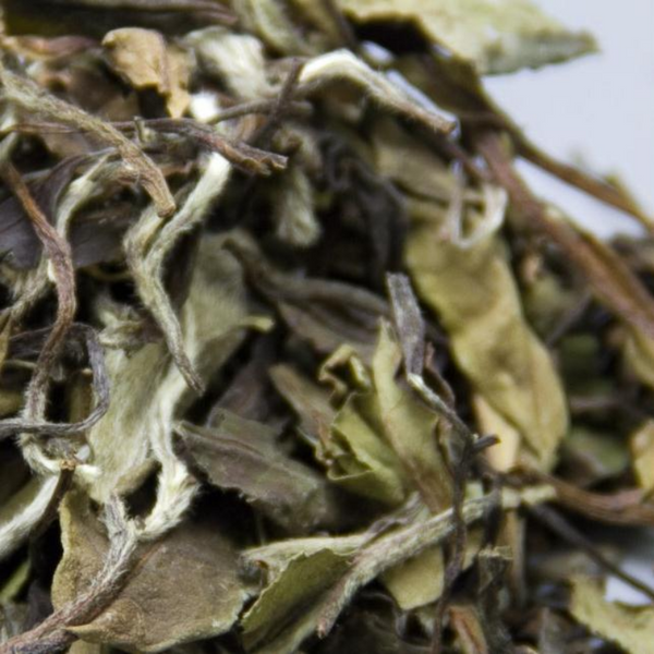 300g Fuding White Tea Spring White Peony White Tea Cake Chinese Aged White Tea