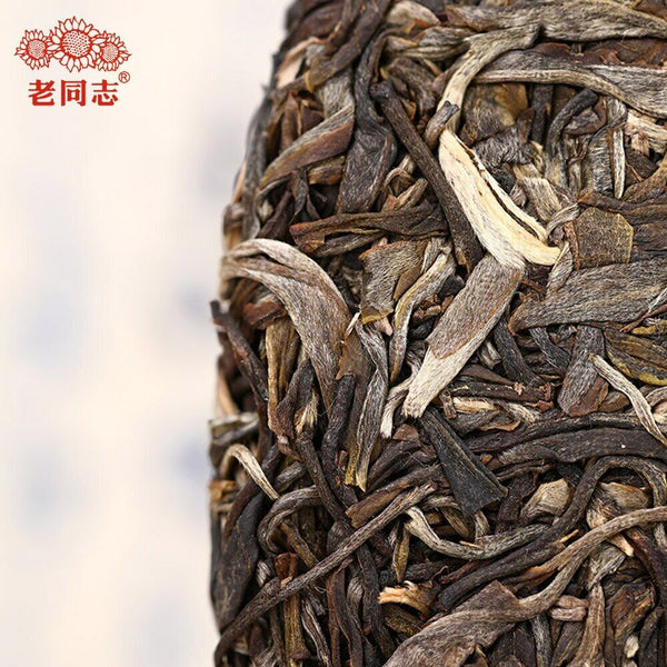 HelloYoung Haiwan The Gathering of Plant Spirit Raw Puer Excellent Shen Puerh Tea 400g