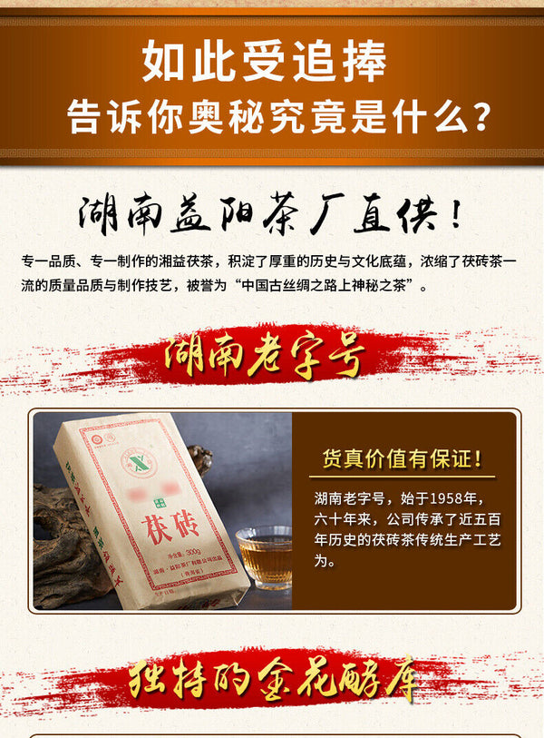 HelloYoung Hunan Fu Tea Fucha Special Made Yiyang Anhua Dark Tea Hei Cha Fu Brick Tea 300g