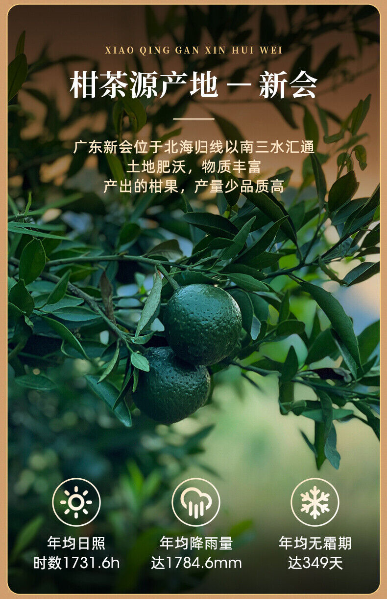 HelloYoung EFUTON Brand Chenpi Orange Pu'er Yunnan Pu-erh Tea Stuffed Tangerine Ripe 230g