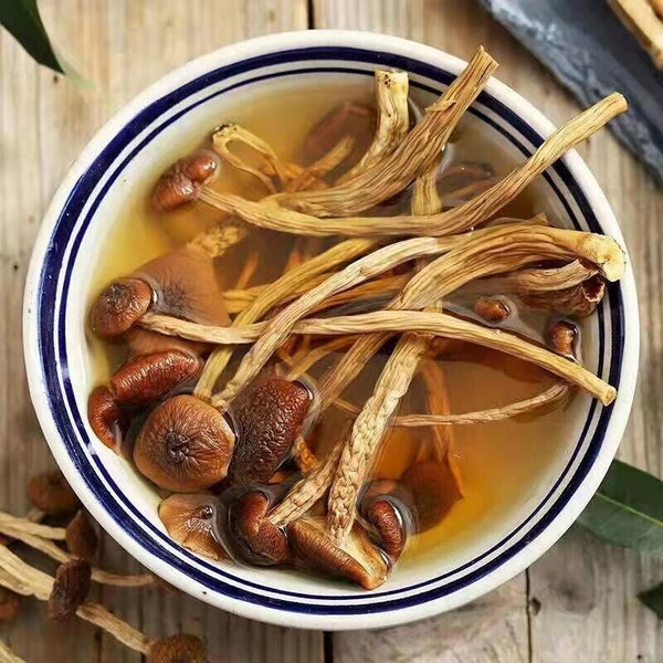 HelloYoung Natural Tea Tree Mushrooms agrocybe cylindracea Dried Mushrooms Kitchen Food 茶树菇