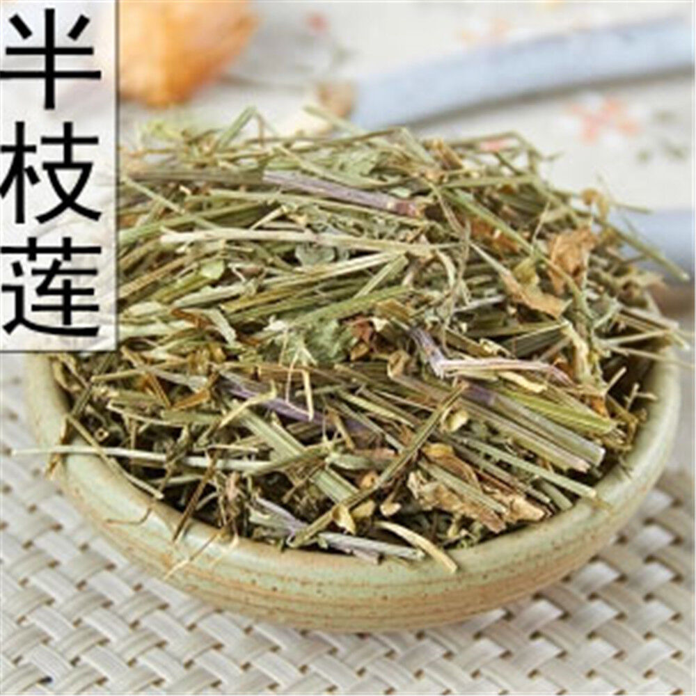 HelloYoung Scutellaria Barbata Ban Zhi Lian Chinese Herb Scutellaria Skull Cap Herb 250g
