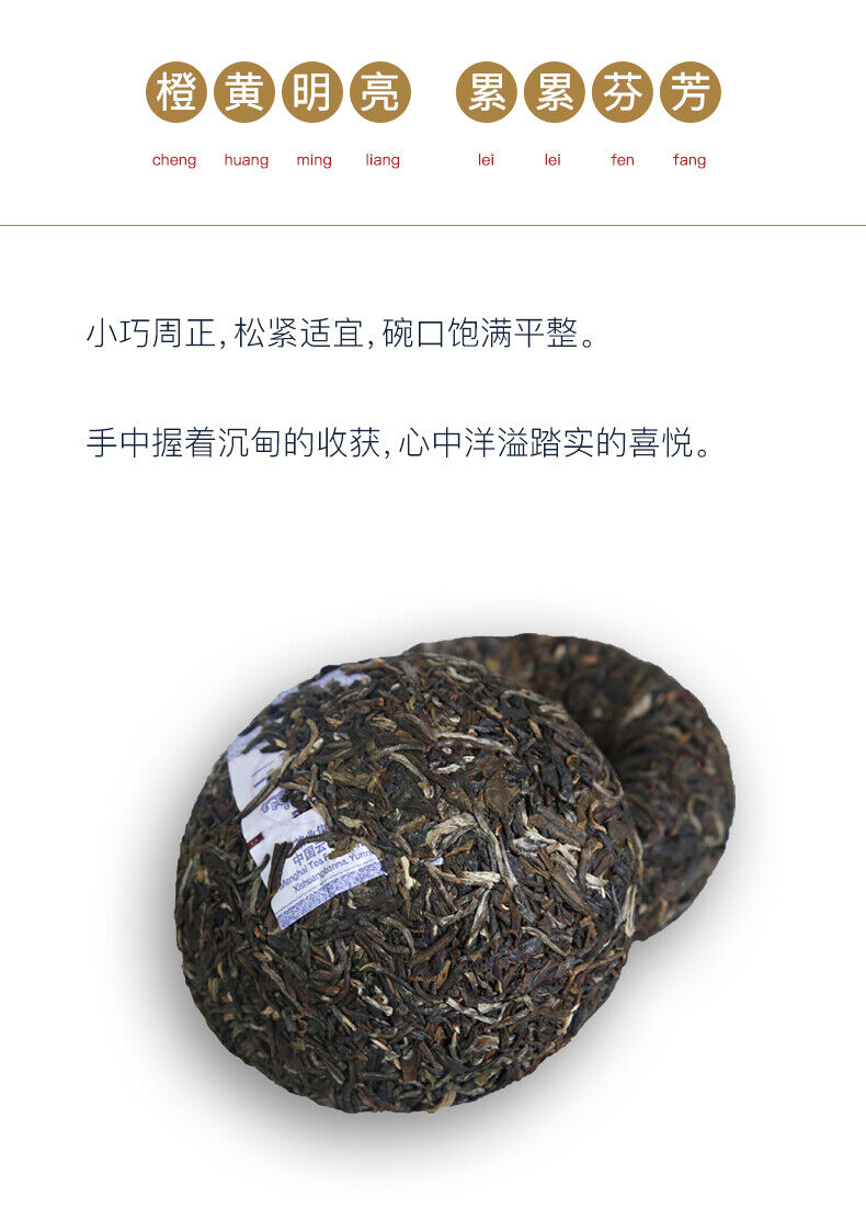 HelloYoung TAETEA Reunion Tuocha * MengHai Dayi Tuo Puer Pu'er Puerh Tea Raw 500g 1901