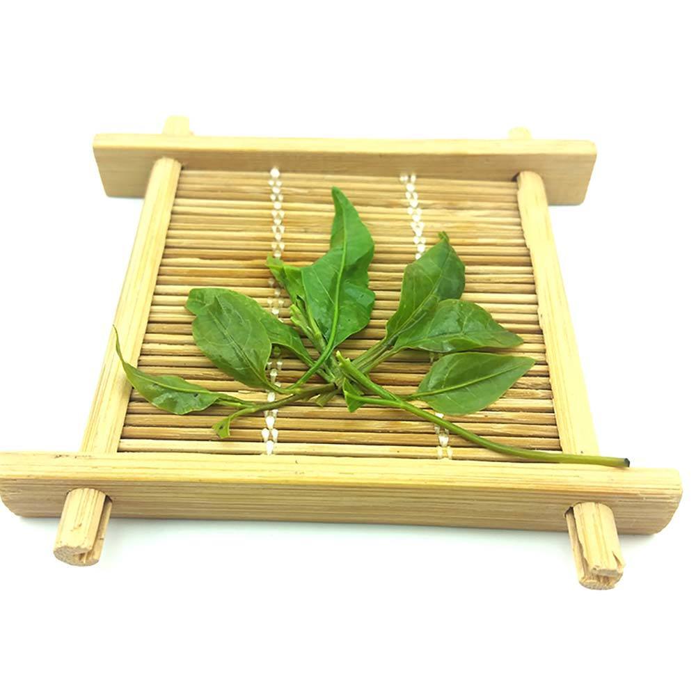 HelloYoung Big Leaf Kuding Tea Herbal Tea Preventing Obesity and Asthma Delaying Aging