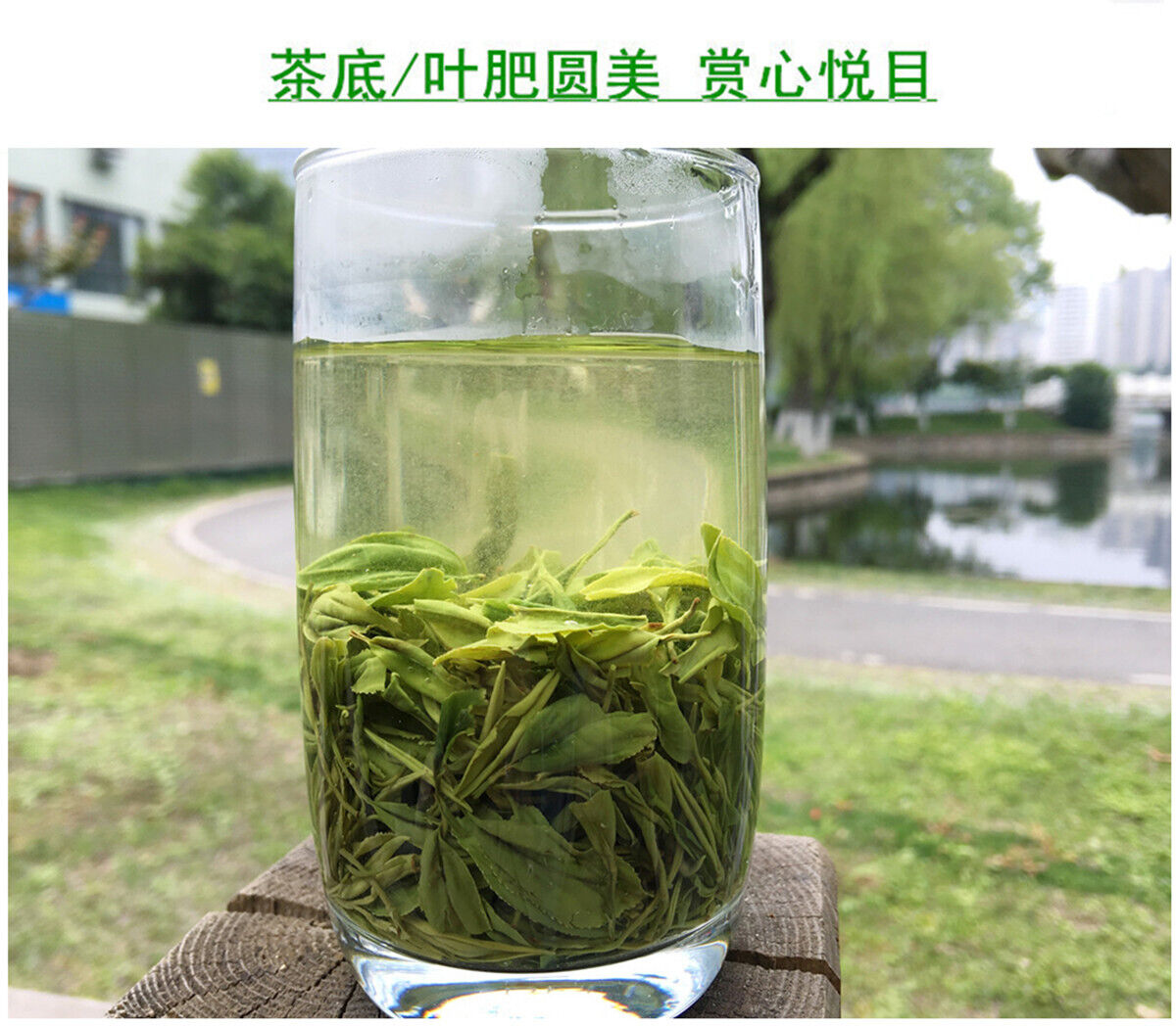 HelloYoung Premium Hubei En Shi Yu Lu Jade Dew Tea EnShi Se-Tea High Mountain Green Tea