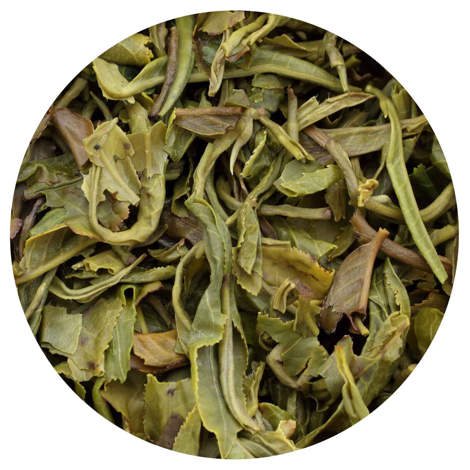 HelloYoung HELLOYOUNG 250g Supreme Jasmine Silver Bud Moliyinhao SnowWhite GREEN TEA