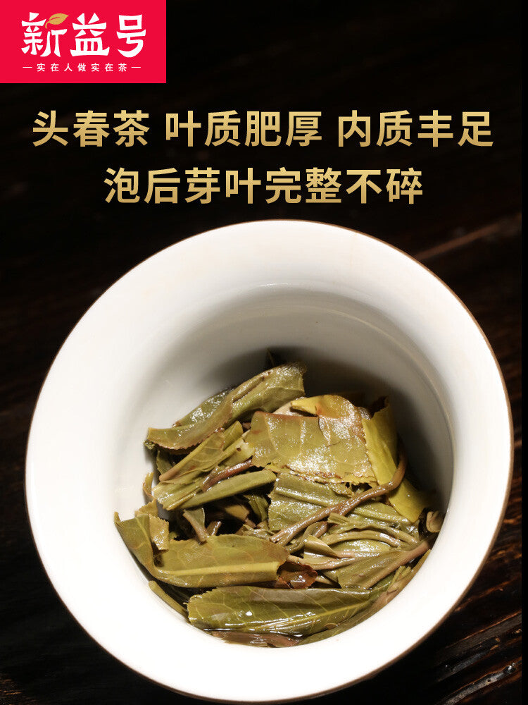 Yunnan Pu'er  Tea 新益号 云南普洱茶生茶小粒装500g生普早春沱小沱茶 Natural Healthy China Herbal Tea