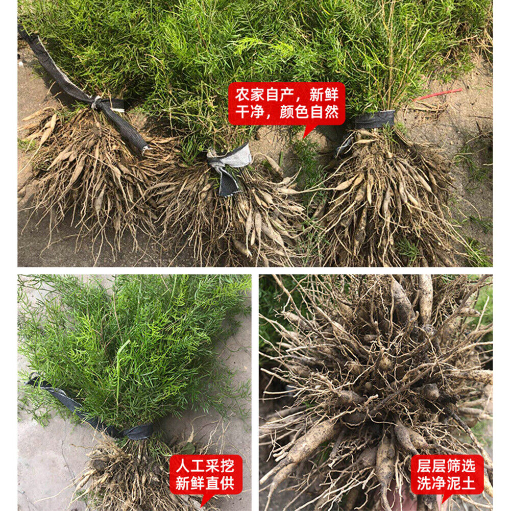 HelloYoung 500g tianmendong dried asparagus natural healthy herbal tea天门冬天然健康草本煲汤料 干货煲汤泡酒