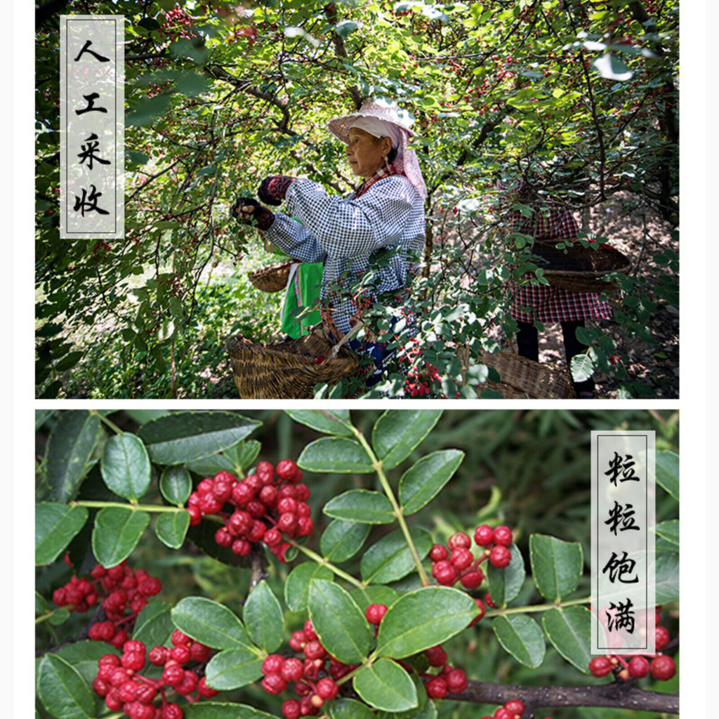 HelloYoung Sichuan Peppercorn Red Pepper Huajiao for Cooking and Soup Healthy Herbal 250g