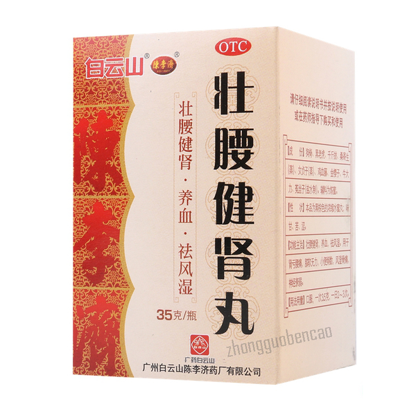 Bai Yun Shan Zhuang Yao Jian Shen Wan Baiyunshan Zhuangyaojianshenwan白云山壮腰健肾丸