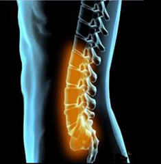 邦德丽牌众邦正骨贴 20贴 Bang De Li Pai Zong Bang Zheng Gu Tie 20pcs