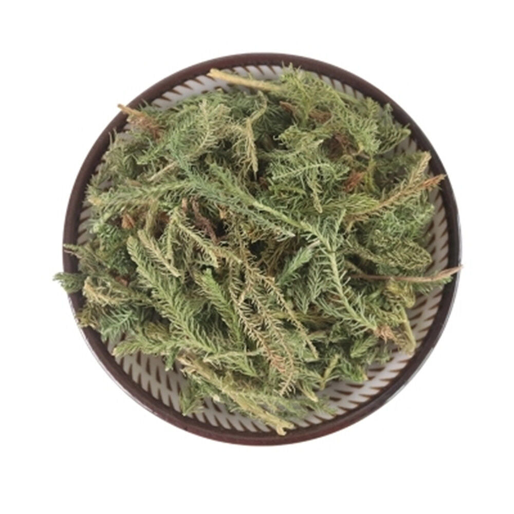 250g Japanese Clubmoss Medicinal Chinese Herbs 100% Natural Shen Jin Cao Main image