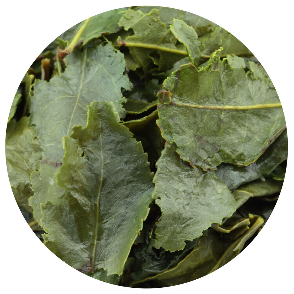 HelloYoung HELLOYOUNG 100g Supreme TieGuanYin Oolong Tea Fujian High Mount Iron Goddess