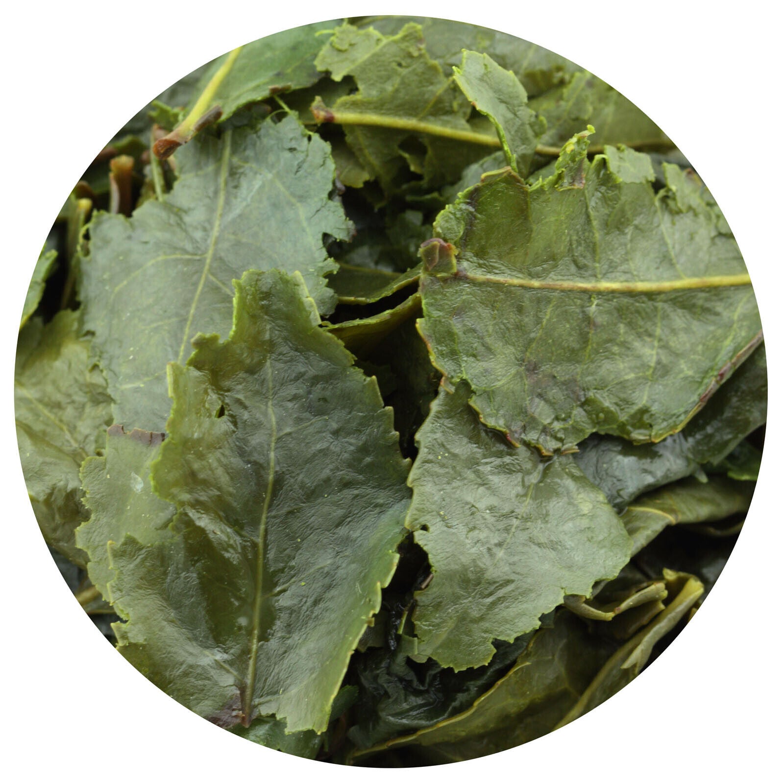 HelloYoung HELLOYOUNG 100g Supreme TieGuanYin Oolong Tea Fujian High Mount Iron Goddess