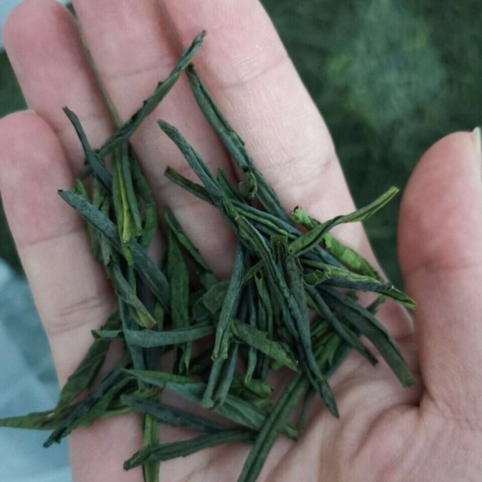 HelloYoung Chinese Early Spring Lu An Gua Pian Organic Green Tea Melon Slice Tea