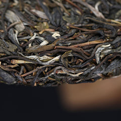 HelloYoung 2022 Haiwan Yi Wu Zheng Shan Raw Purerh Tea Ma Hei Mountain Sheng Puer Tea 500g