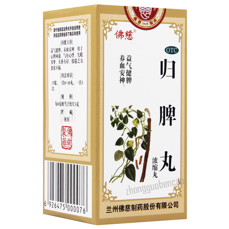 Foci Guipi Wan 佛慈归脾丸 Main image