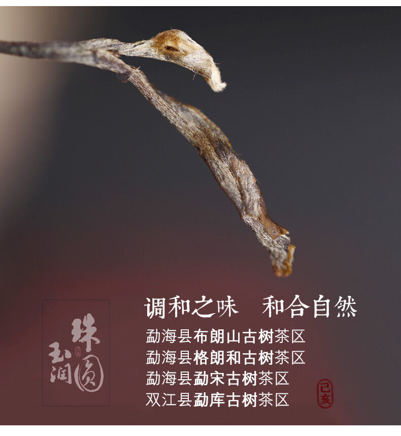 HelloYoung HAIWAN Brand Old Comrade Zhu Yuan Yu Run Pu-erh Tea Cake 400g Raw Puer