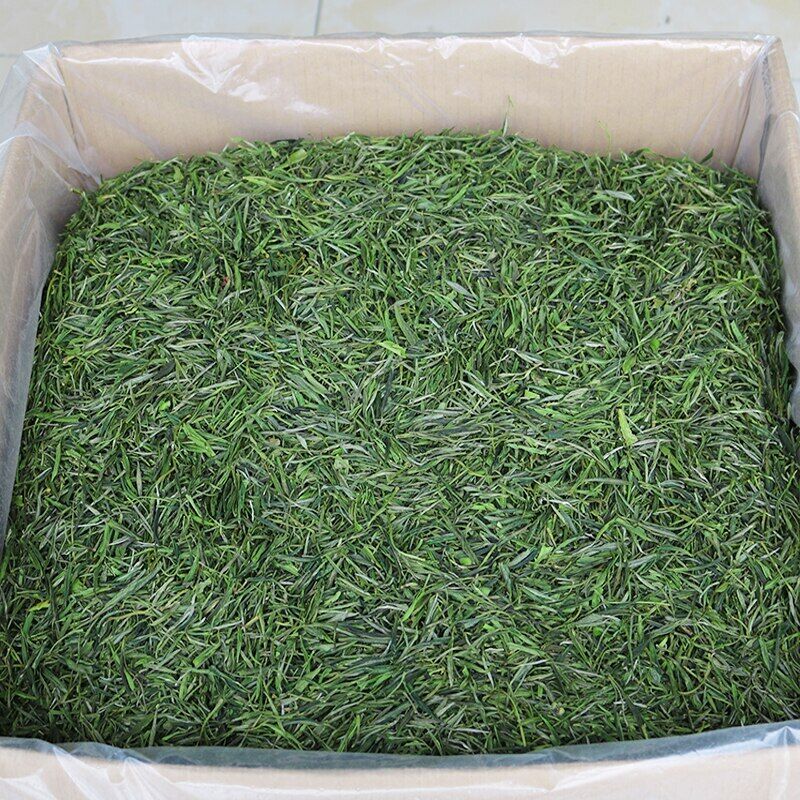 HelloYoung Huang Shan Mao Feng Green Tea Early Spring Maofeng Chinese Yellow Mountain Tea Secondary image