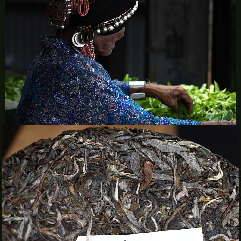 HelloYoung Haiwan Famous Mountain Aged Tree Raw Puer Pa Sha Gu Shu Sheng Puer Tea 500g
