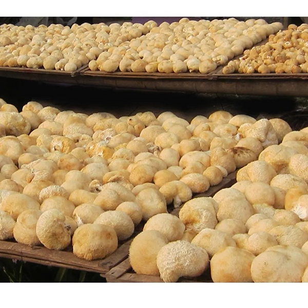HelloYoung 100% Organic Dried Lion's Mane Mushroom Chinese Herbs 17.6oz